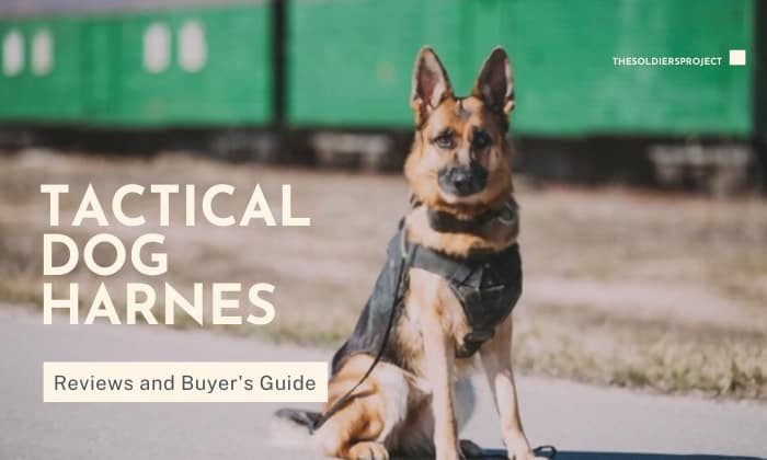 The Best Tactical Dog Harnesses and Vest