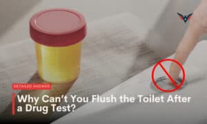 why can't you flush the toilet after a drug test