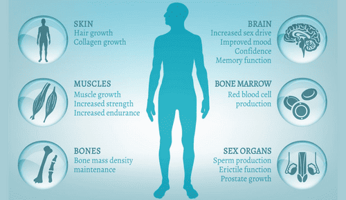 testosterone-role-in-military